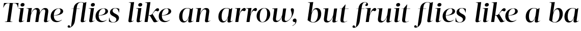 Acta Display Medium Italic