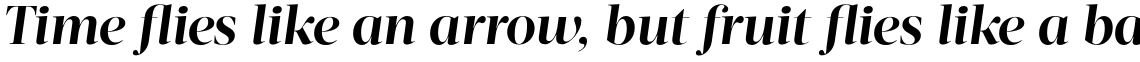 Acta Display Bold Italic