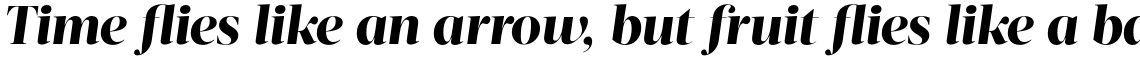 Acta Display Extra Bold Italic