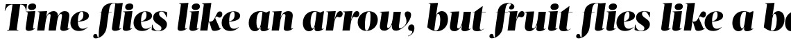 Acta Display Black Italic