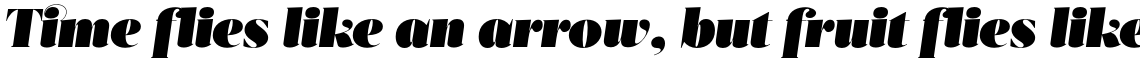 Acta Poster Italic