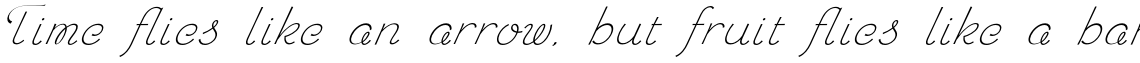 Chic Hand Bold