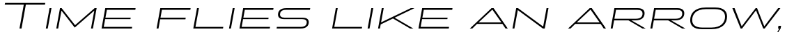 Stereo Gothic 250 Italic