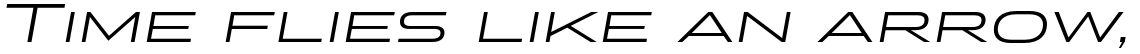 Stereo Gothic 350 Italic