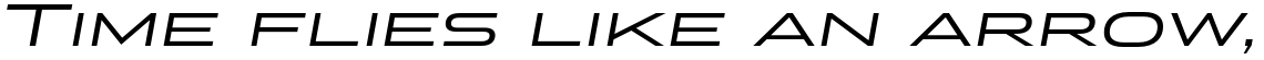 Stereo Gothic 450 Italic
