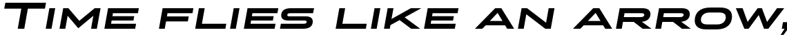 Stereo Gothic 800 Italic