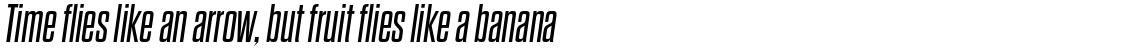 Dharma Gothic M Regular Italic