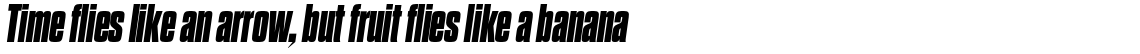 Dharma Gothic M Heavy Italic