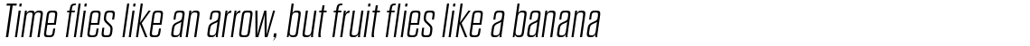 Dharma Gothic E Extra Light Italic