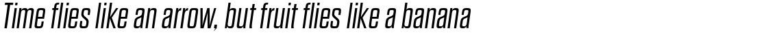 Dharma Gothic E Light Italic