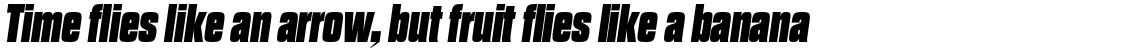 Dharma Gothic E Heavy Italic