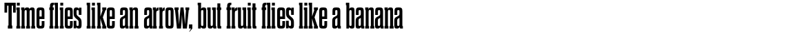 Dharma Slab M Bold
