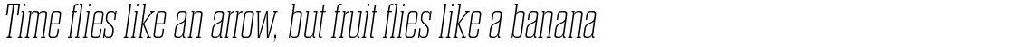 Dharma Slab E Thin Italic