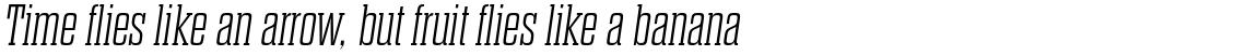 Dharma Slab E Extra Light Italic