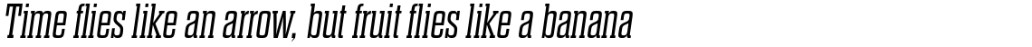 Dharma Slab E Light Italic