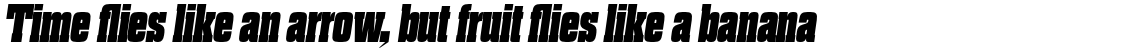 Dharma Slab E Heavy Italic