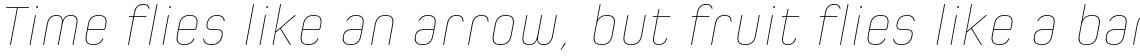 Spoon Hairline Italic