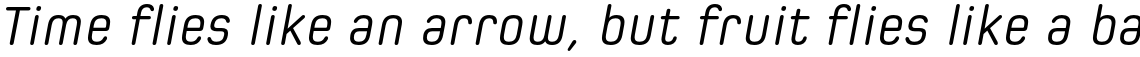 Spoon Regular Italic