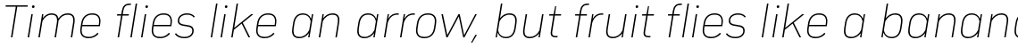 Compasse Thin Italic