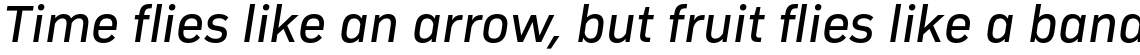 Compasse Regular Italic
