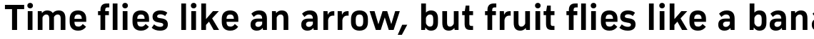 Compasse Bold