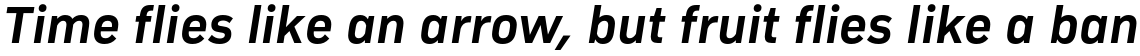 Compasse Bold Italic