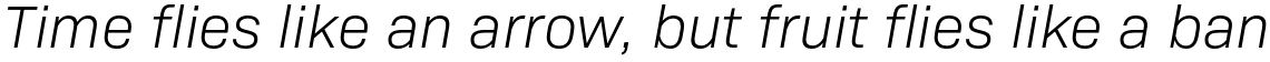 Bio Sans Light Italic