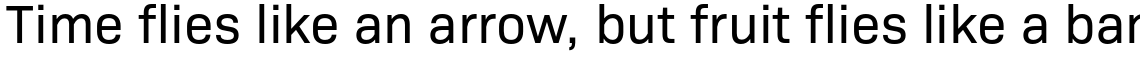 Bio Sans Regular