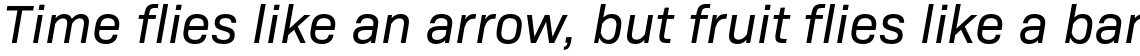 Bio Sans Italic