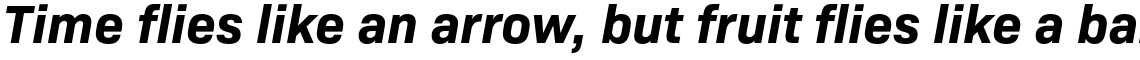 Bio Sans Bold Italic