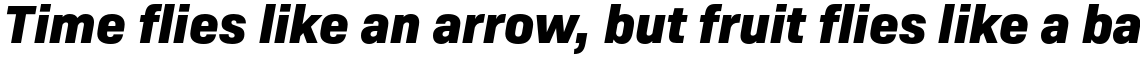 Bio Sans Extra Bold Italic
