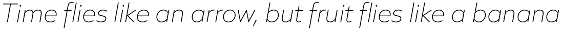 Quiet Sans Extra Light Italic
