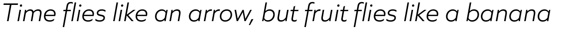 Quiet Sans Light Italic