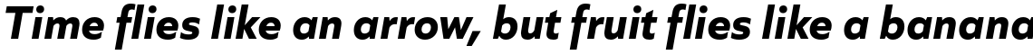 Quiet Sans Bold Italic
