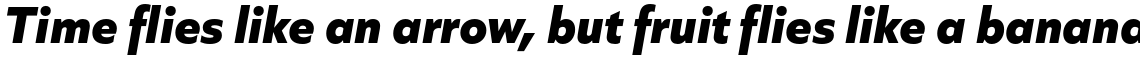 Quiet Sans Extra Bold Italic