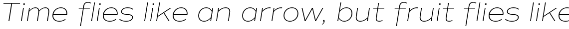 Commuters Sans Thin Italic
