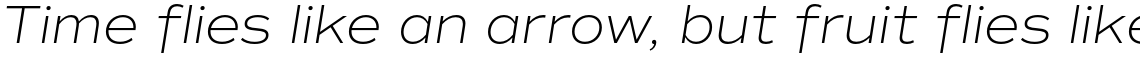 Commuters Sans ExtraLight Italic