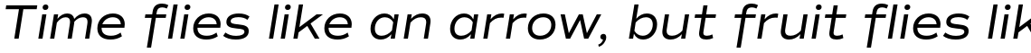 Commuters Sans Italic