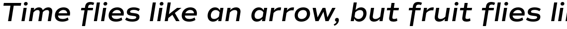 Commuters Sans SemiBold Italic