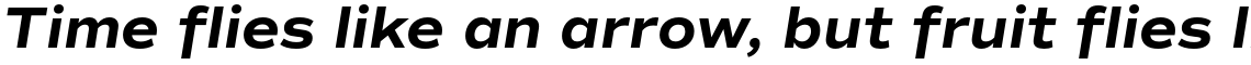 Commuters Sans Bold Italic