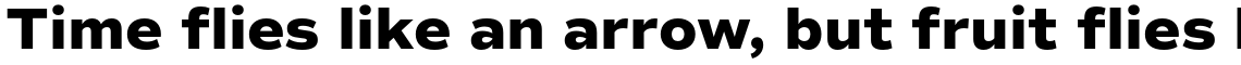 Commuters Sans ExtraBold