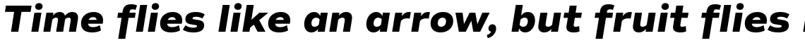 Commuters Sans ExtraBold Italic