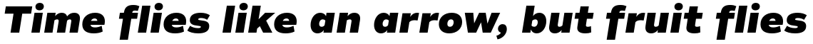 Commuters Sans Heavy Italic