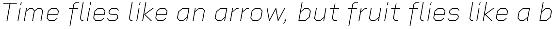 Rigid Square Thin Italic