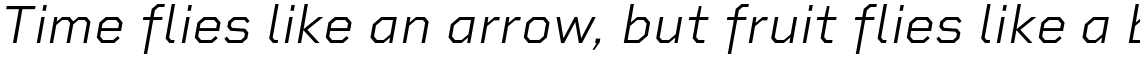 Rigid Square Light Italic