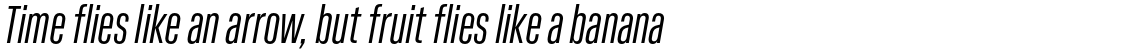 Kaneda Gothic Regular Italic