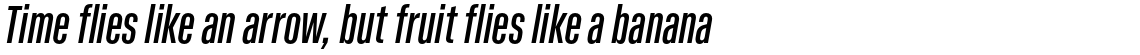 Kaneda Gothic Medium Italic