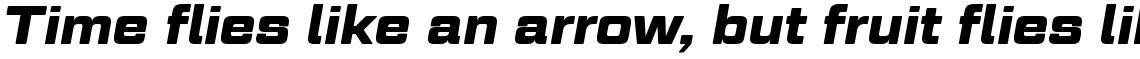 Geom Graphic Bold Italic