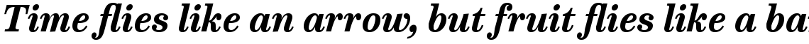 Victorian Orchid Bold Italic
