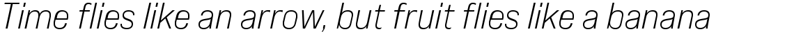 Bebas Neue Pro Expanded Book Italic